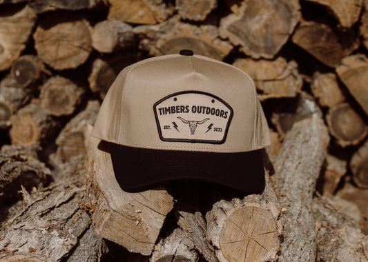 Timbers baseball Snap Back